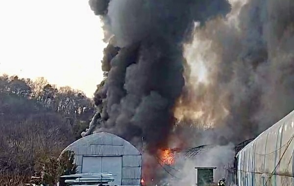 시흥 계수동 비닐하우스 화재…소방 진화 중