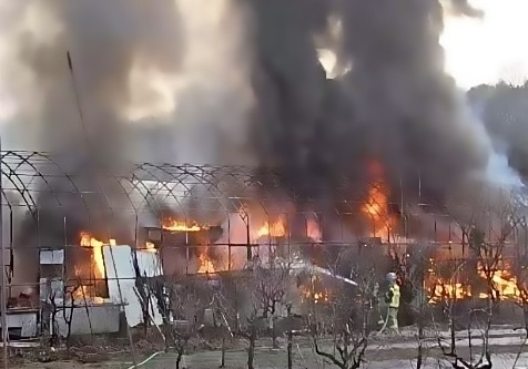 시흥 비닐하우스 화재 70여분 만 초진…2명 대피(종합)