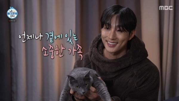 배나라 "유기묘 입양"…장롱 뚫어 캣타워까지 직접 제작