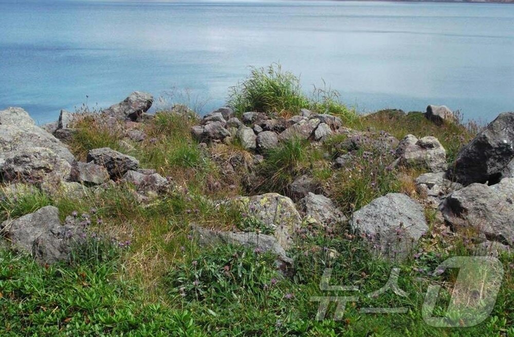 본문 이미지 - (평양 노동신문=뉴스1) = 북한 노동당 기관지 노동신문은 24일 김일성종합대학 역사학부 연구집단이 백두산 일대 역사유적 조사·발굴 사업을 심화시켰다고 보도했다. 이들은 러시아 노보시비르스크 국립종합대학과 공동으로 유골들에 방사성 탄소연대 측정을 진행해 무덤 주인들이 대체로 19세기 중엽에서 19세기 사람들이라는 것을 입증했다고 신문은 전했다. [국내에서만 사용가능. 재배포 금지. DB 금지. For Use Only in the Republic of Korea. Redistribution Prohibited] rodongphoto@news1.kr