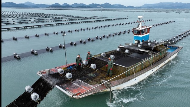 전남 김 수출 4억3200만달러 기록…역대 최고 실적