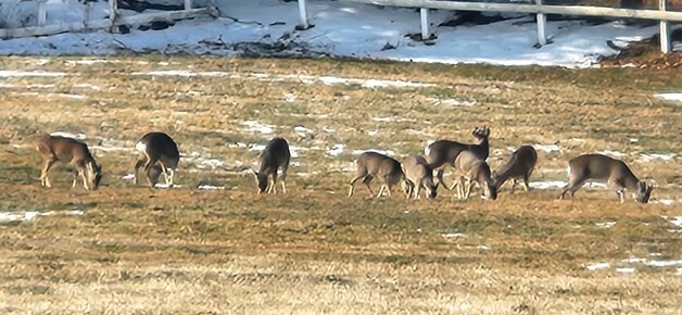 [오늘의 날씨]제주(25일, 일)…낮 최고 11도, 미세먼지 '좋음'