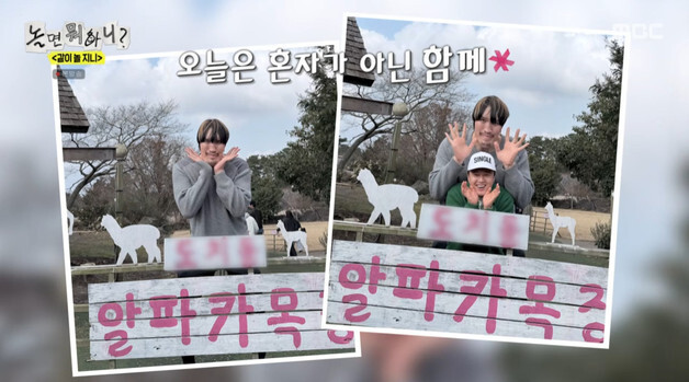 알파카 침 세례에 멘붕…제주 집결, 최홍만 소원 대환장 파티 [RE;TV]