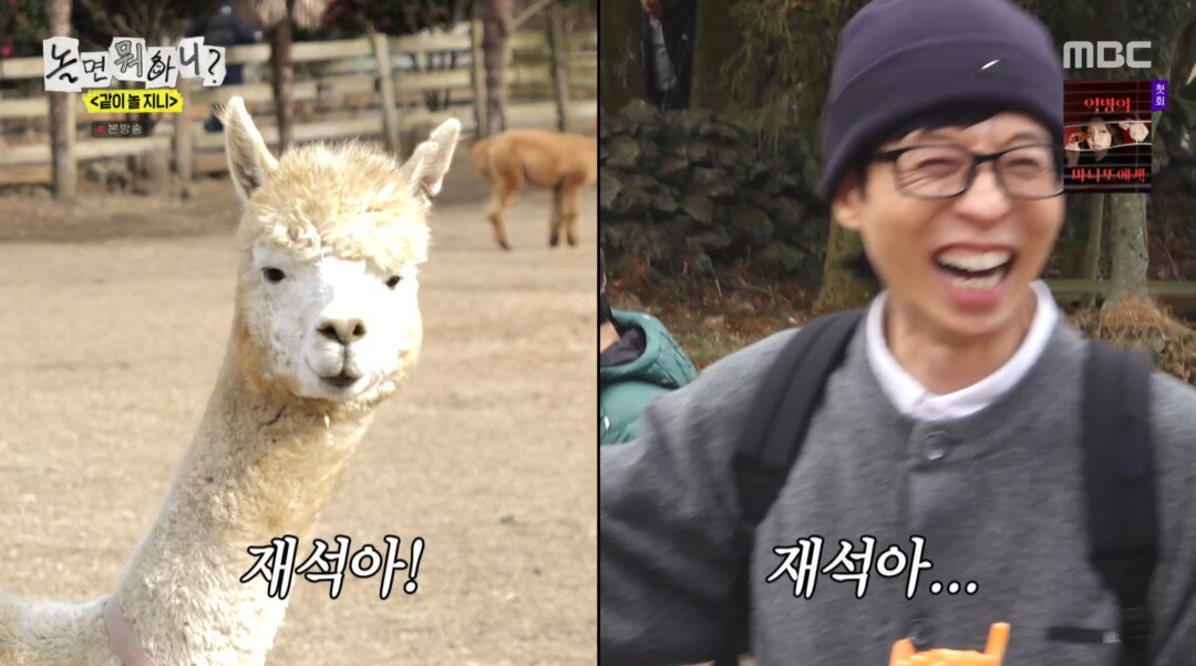 본문 이미지 - '놀면 뭐하니?' 방송 캡처
