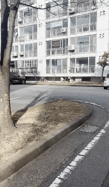 본문 이미지 - 1년이 지나도 수진 씨를 알아보고 달려와 반기는 삼순이(새로) ⓒ 뉴스1