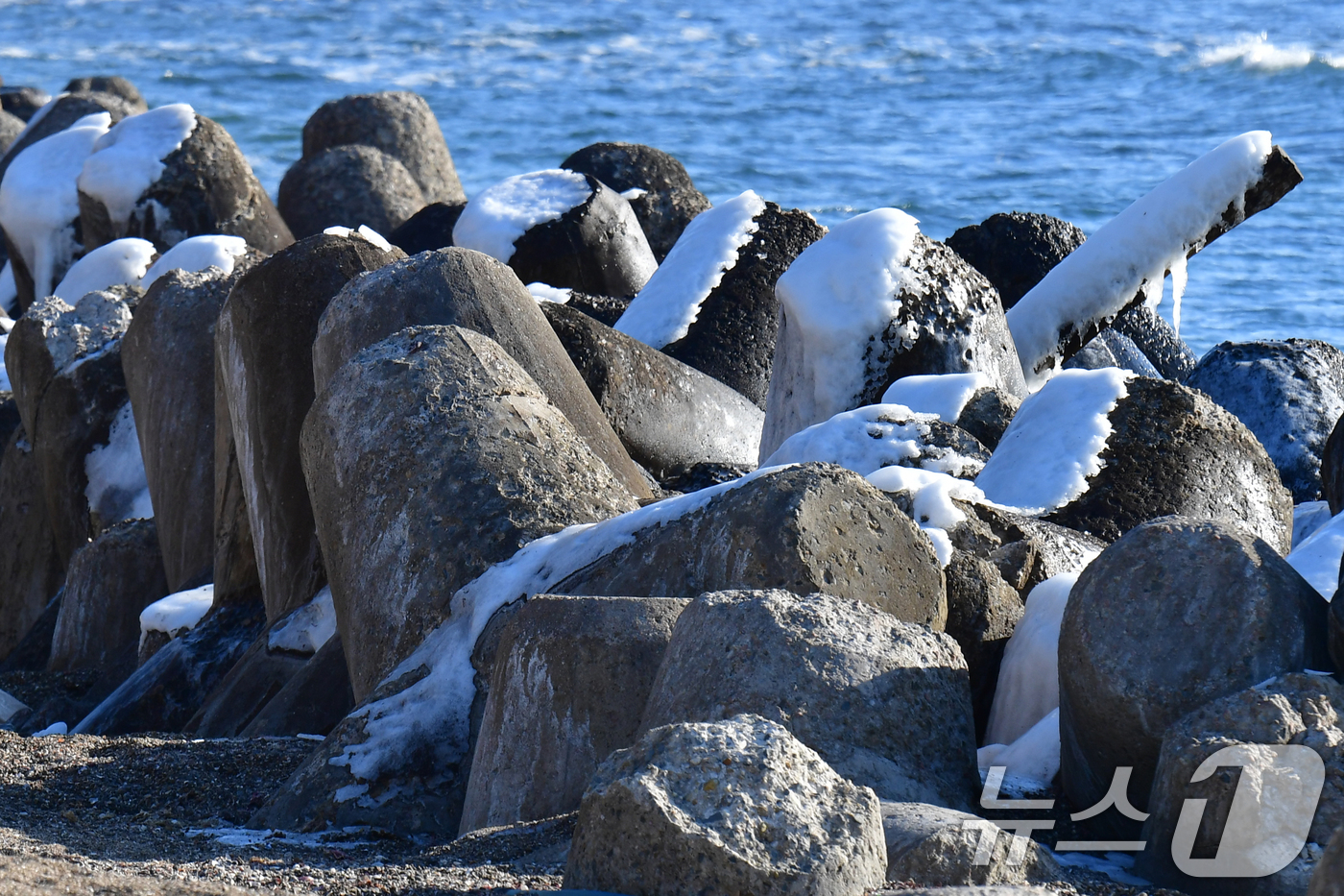 (포항=뉴스1) 최창호 기자 = 25일 오전 경북 포항시 북구 환여동 앞 바다에 있는 테트라포드 위에 바닷물이 얼어 붙어있다.  2026.1.25/뉴스1
