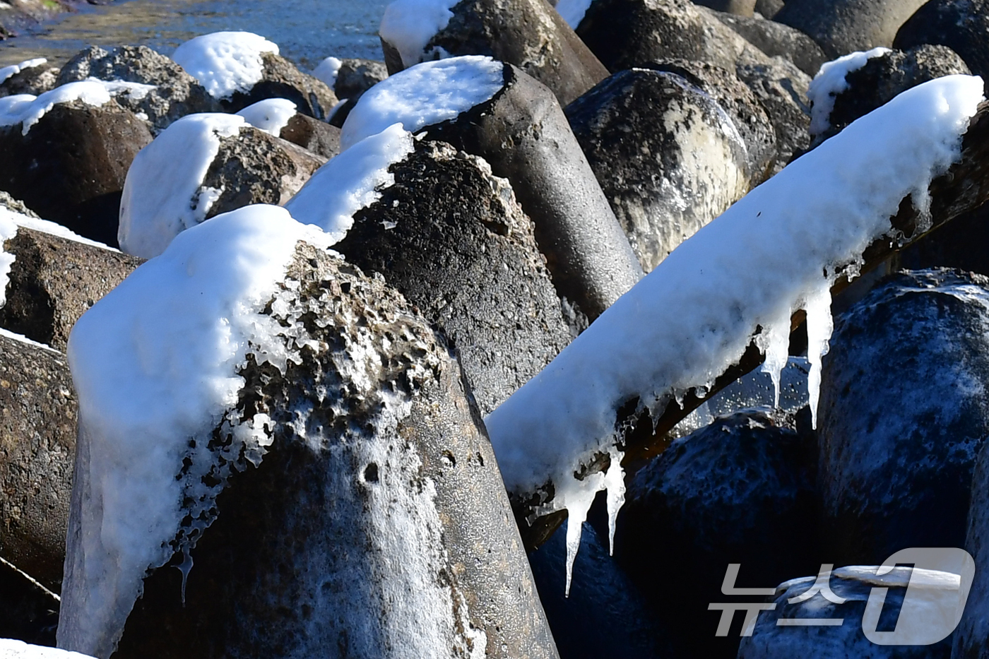 (포항=뉴스1) 최창호 기자 = 25일 오전 경북 포항시 북구 환여동 앞 바다에 있는 테트라포드 위에 바닷물이 얼어 붙어있다. 2026.1.25/뉴스1