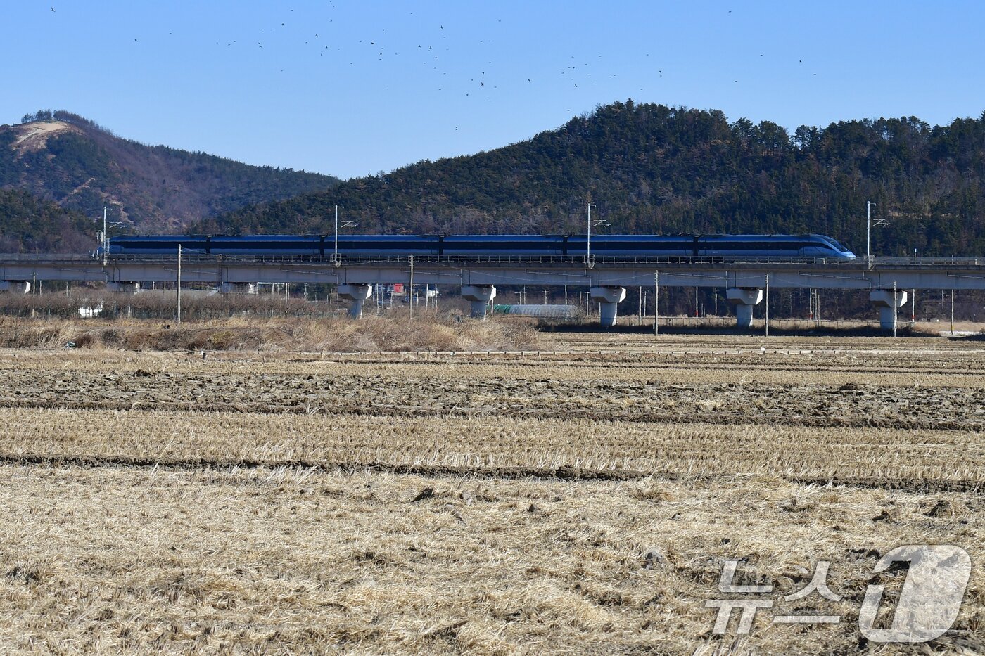 본문 이미지 - 강원도 강릉에서 출발한 동해선 KTX-이음 열차가 포항시 북구 흥해읍 지나가고 있다.(뉴스1 DB) ⓒ 뉴스1 최창호 기자