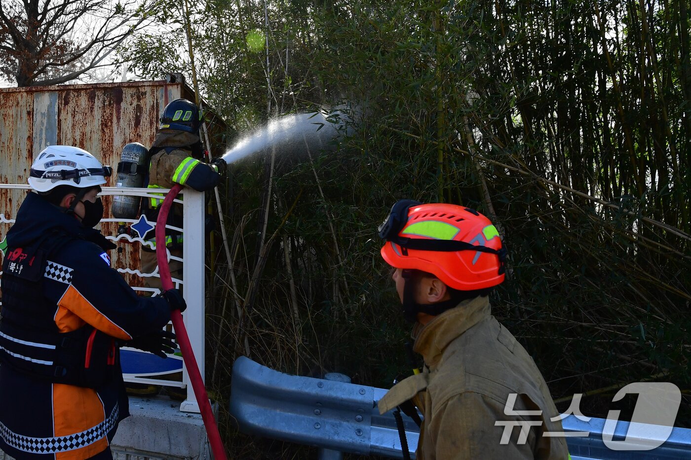 본문 이미지 - 25일 오전 11시20분쯤 경북 포항시 북구 삼흥로 501번길에 있는 조립식 주택 공사 현장 뒷편 대나무 밭에서 원인을 알 수 없는 불이 났다. 신고를 받고 출동한 119대원들이 진화작업에 나서고 있다. ⓒ News1 최창호 기자