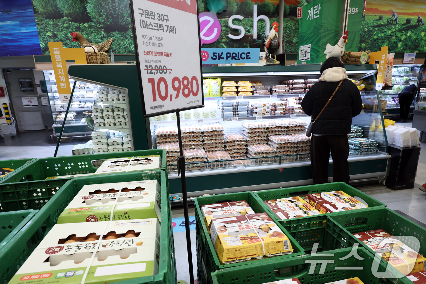 (서울=뉴스1) 김명섭 기자 = 계란 가격이 들썩이는 가운데 농림축산식품부와 한국농수산식품유통공사(aT)는 계란 가격 안정을 위해 수입한 미국산 신선란 첫 물량이 인천국제공항에 도 …