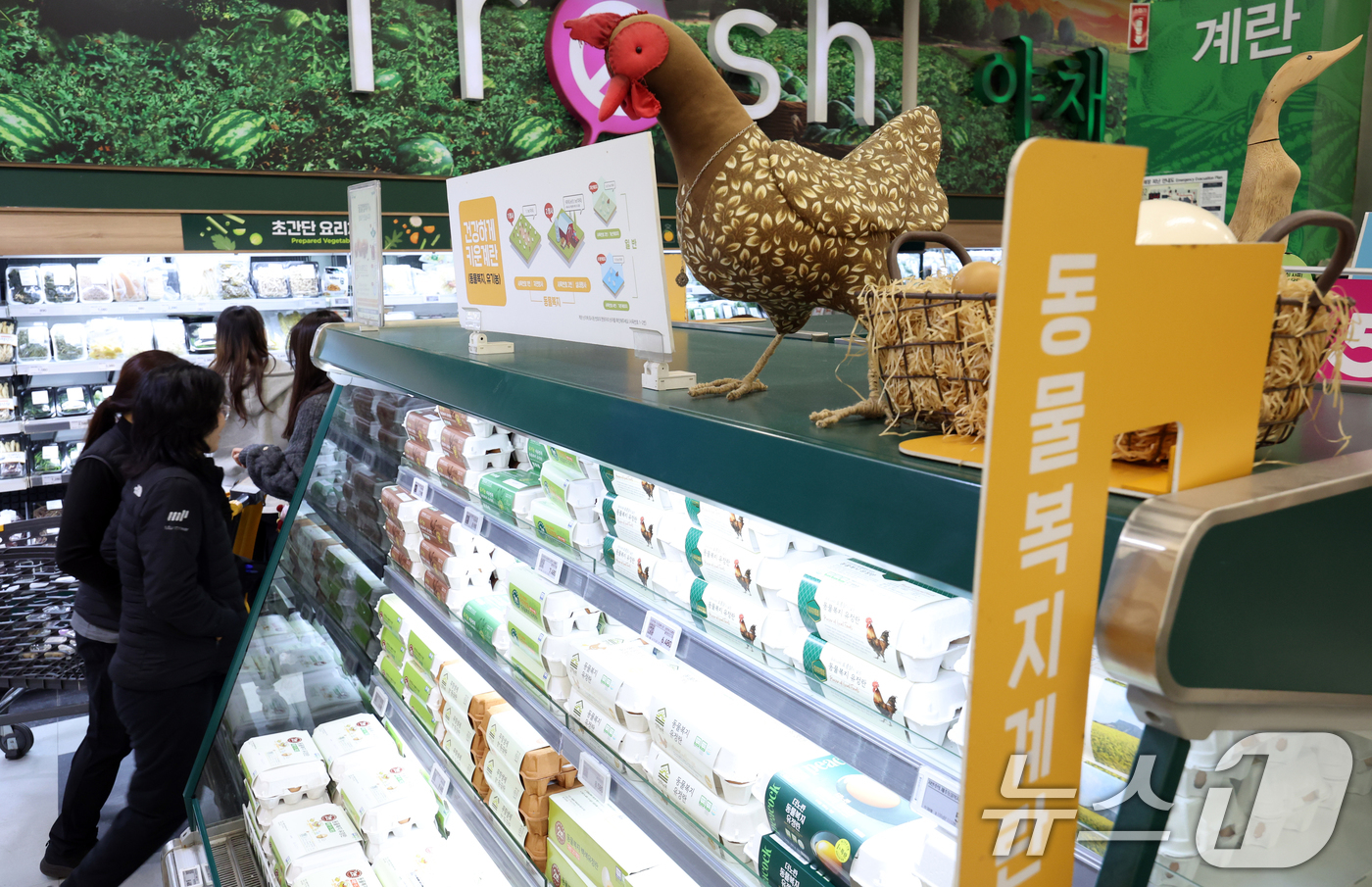 (서울=뉴스1) 김명섭 기자 = 계란 가격이 들썩이는 가운데 농림축산식품부와 한국농수산식품유통공사(aT)는 계란 가격 안정을 위해 수입한 미국산 신선란 첫 물량이 인천국제공항에 도 …