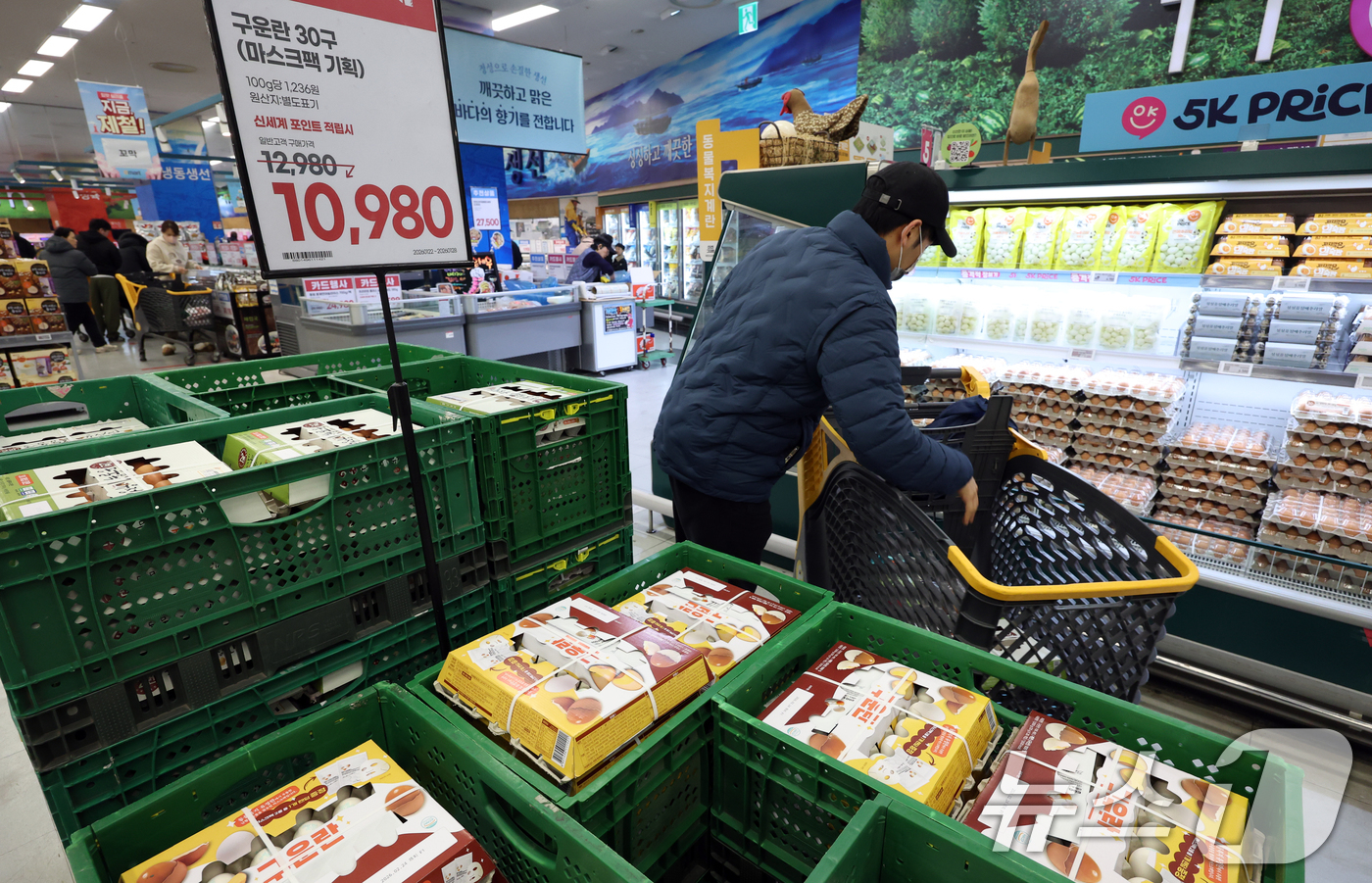 (서울=뉴스1) 김명섭 기자 = 계란 가격이 들썩이는 가운데 농림축산식품부와 한국농수산식품유통공사(aT)는 계란 가격 안정을 위해 수입한 미국산 신선란 첫 물량이 인천국제공항에 도 …
