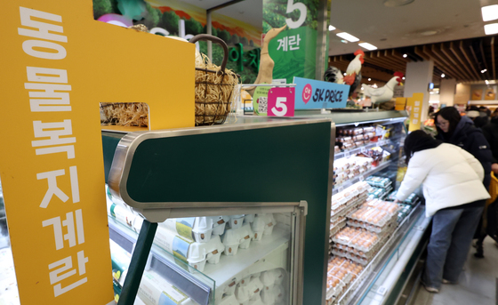 계란 가격 안정 나선 정부, 미 신선란 첫 반입 완료