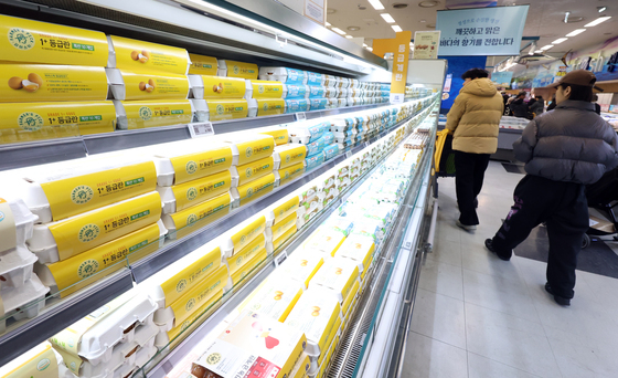 계란 대란 우려 속 미국산 신선란 국내 유통 앞둬