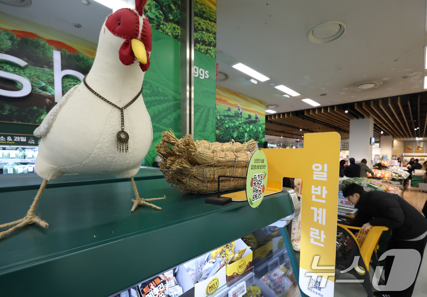 (서울=뉴스1) 김명섭 기자 = 계란 가격이 들썩이는 가운데 농림축산식품부와 한국농수산식품유통공사(aT)는 계란 가격 안정을 위해 수입한 미국산 신선란 첫 물량이 인천국제공항에 도 …