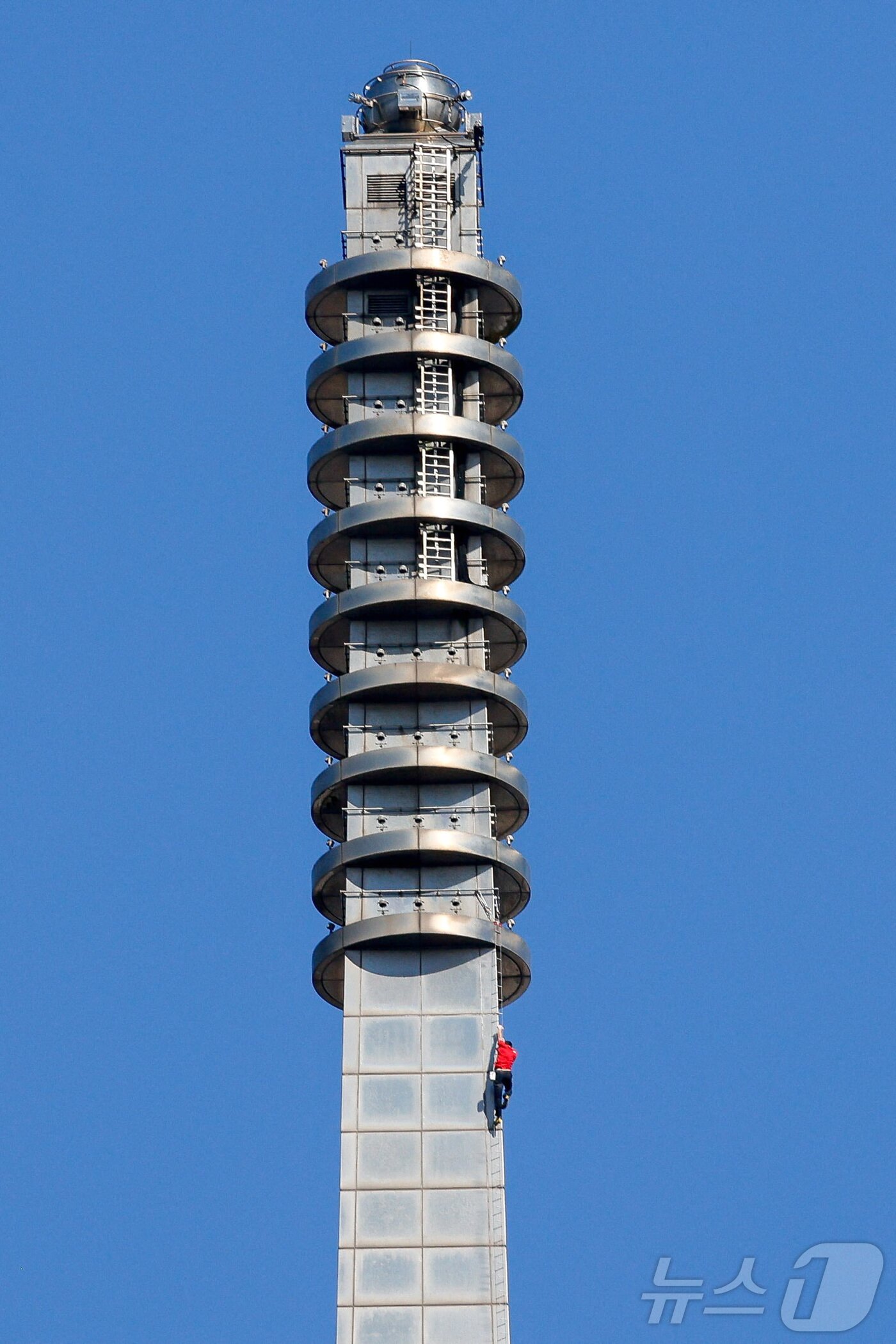 본문 이미지 - 미국의 등반가 알렉스 호놀드가 25일(현지시간) 로프나 안전망 없이 세계 최고층 빌딩 중 하나인 타이베이 101 정상(508m)에 오르고 있다. 2026.01.25 ⓒ 로이터=뉴스1 ⓒ News1 최종일 선임기자