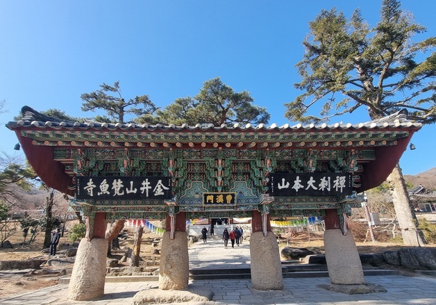 부산 금정구, 그린벨트 무단 훼손 '범어사'에 원상복구 명령