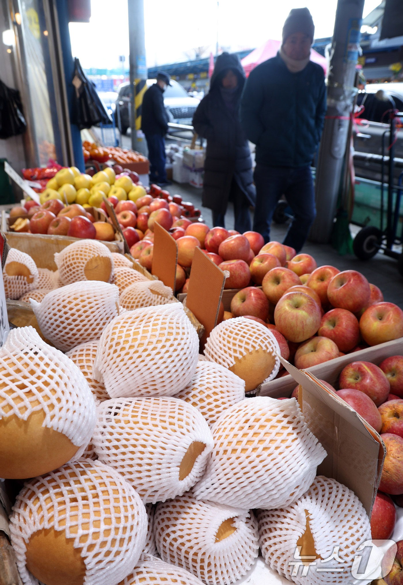 (서울=뉴스1) 김명섭 기자 = 최근 과일·채소류 공급 여건이 개선되면서 설 차례상 물가가 지난해보다 낮아진 것으로 나타났다. 25일 전문 가격조사기관 한국물가정보에 따르면, 설을 …