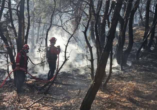 경주 산내면 산불, 1시간24분 만에 주불 진화…잔불 정리중(종합)