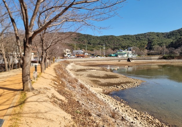 부산서 보기 드문 '결빙'…'겨울 가뭄' 겹쳐 담수량 '뚝'
