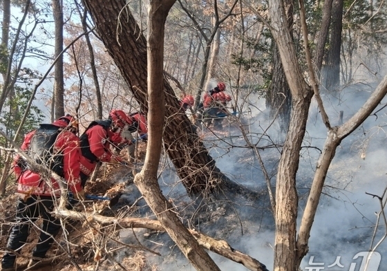 '건조특보' 속 경남·북 산불 잇따라…총 6건(종합3보)