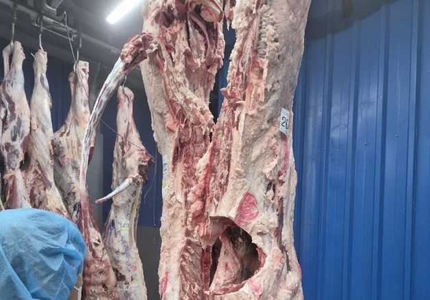 경기도, 설 앞두고 축산물 위생점검 강화…'안전한 식육 공급'