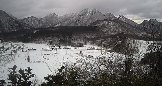 “섬을 걷고, 풍경에 머문다”…MZ 체류형 여행지 울릉도