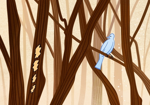 "내 사진이 작가 손에 서정적 그림으로"…후지필름 '팔레트'