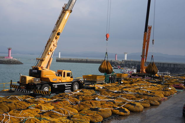 '김 황백화'에 서천군 긴급 복구 지원…"품질 유지"