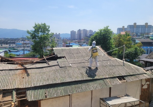 "석면 없는 도시" 강릉시, 올해 주택 114동 대상 슬레이트 철거
