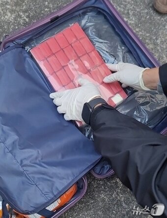 본문 이미지 - 지난해 10월 제주에서 압수된 여행용 가방 내 차 봉지로 위장한 필로폰.(제주경찰청 제공. 재판매 및 DB 금지)
