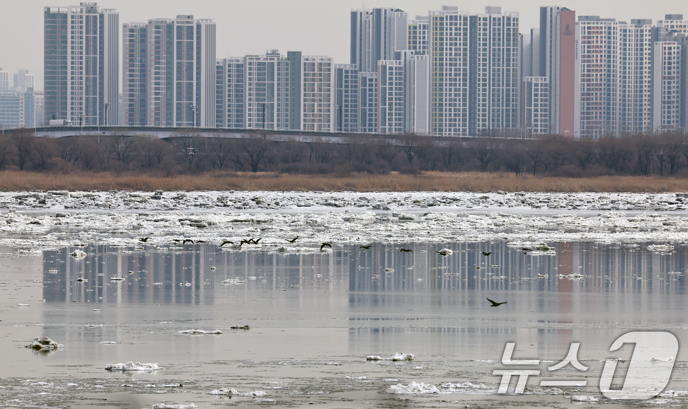 (김포=뉴스1) 구윤성 기자 = 연일 한파가 이어지는 26일 경기 고양시 일산대교 일대에 뜬 유빙 위로 기러기가 날고 있다. 2026.1.26/뉴스1