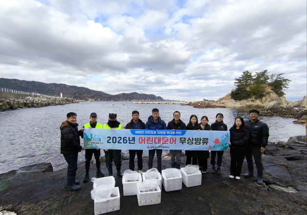 삼척시, 대문어 자원 회복 나선다…어린 대문어 3만 마리 방류