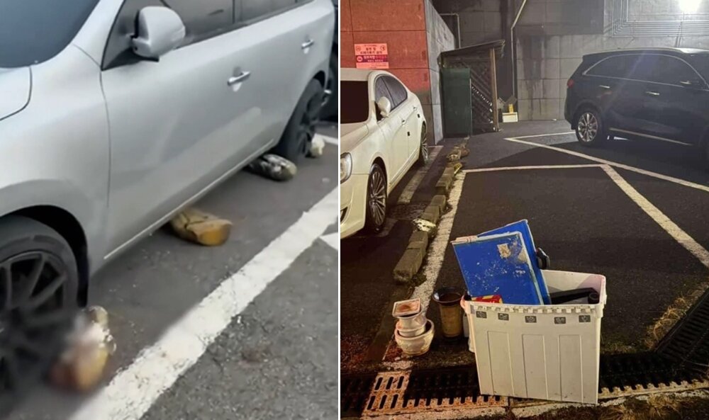 본문 이미지 - 사진=온라인 커뮤니티 보배드림