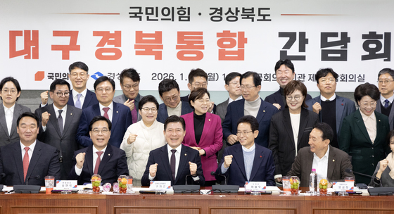 국힘·경북도 "TK통합이 원래 먼저…다른 지역보다 손해 안 돼"