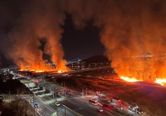 "불 지른 뒤 지켜봤다" 울산 태화강 억새밭 방화범 구속영장(종합)