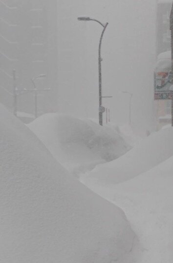 본문 이미지 - (출처=소셜미디어 엑스(X))