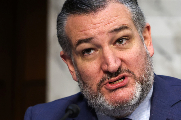 美공화 거물 "관세로 중간선거 참패할 것"…트럼프 "엿 먹어" 반응