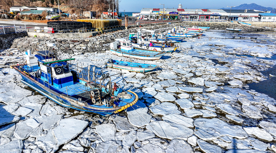 바다도 '꽁꽁'...발묶인 어선들
