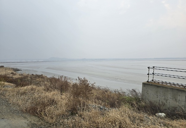 "조류 서식지 침해"…인천항만공사, 환경단체 팸투어 진행