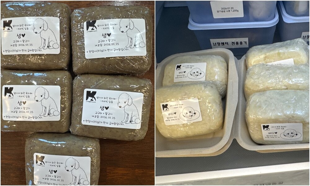 본문 이미지 - 고려동물메디컬센터는 난치성 장질환 환자 상태에 맞춘 식단을 제공해 치료를 돕고 있다(병원 제공). ⓒ 뉴스1