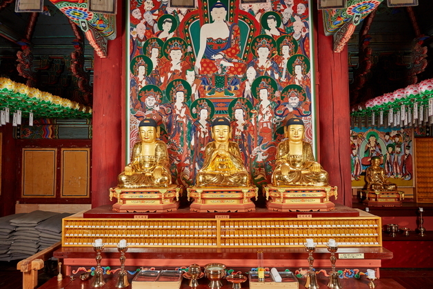 삼척시, 천연기념물·무형유산 발굴 나선다…국가유산 확대