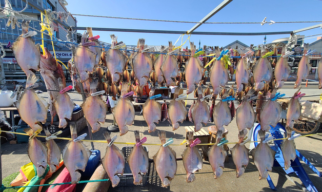 생선 널린 대포항의 겨울