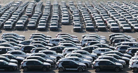 "지금이 '줍줍' 기회"…개미 저가 매수에 현대차 약보합 '선방'[핫종목]