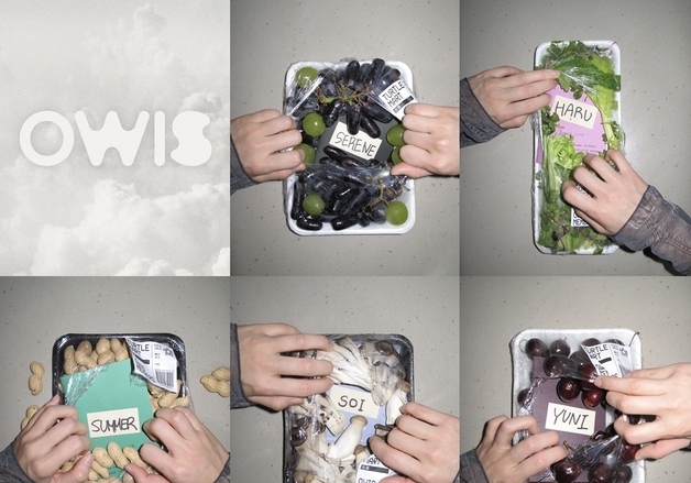 '이해인 버추얼 걸그룹' 오위스, 5인조 데뷔 확정