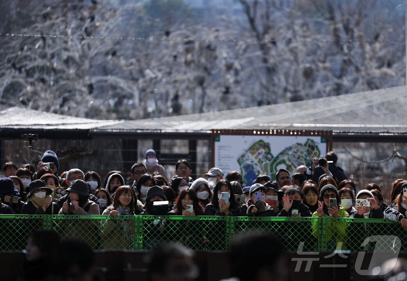 본문 이미지 - 일본인들이 도쿄 우에노동물원의 판다 샤오샤오와 레이레이를 배웅하기 위해 모였다. 2026.1.27 ⓒ 로이터=뉴스1 ⓒ News1 정은지 특파원