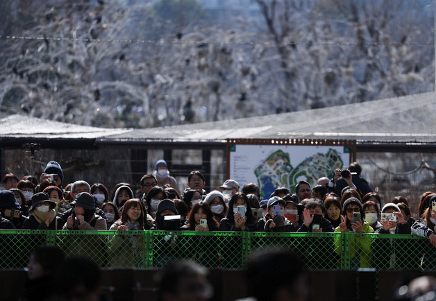 日 마지막 판다 떠난다…중국 "쓰촨성 와서 판다 보는 것 환영"(상보)