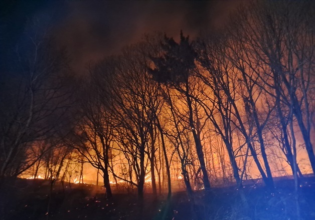 '담배꽁초 추정' 전남 고흥 산불, 2시간 만에 주불 잡혀(종합)