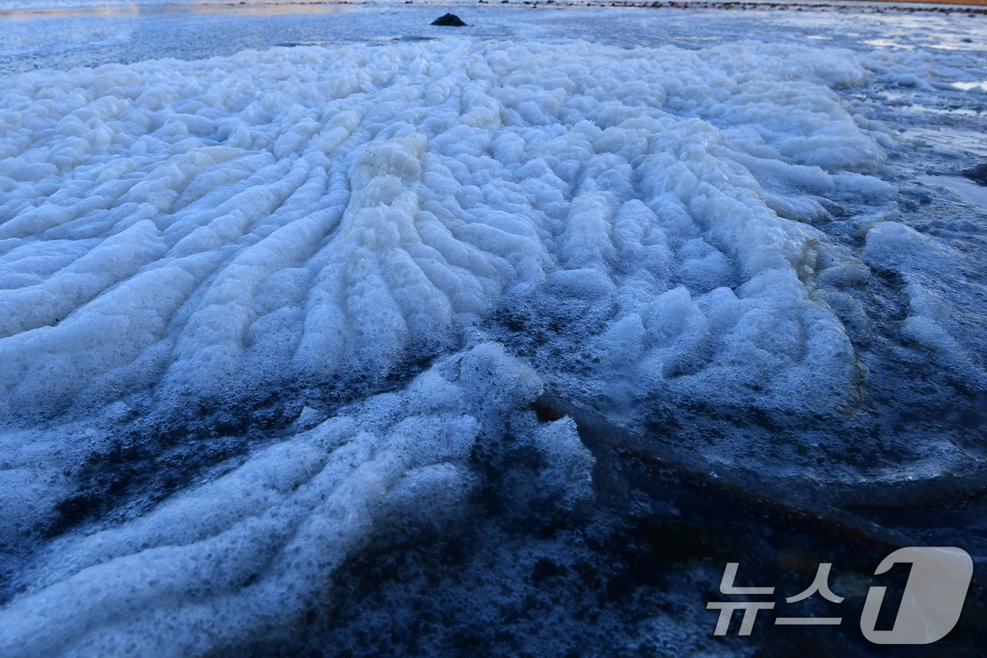 (포항=뉴스1) 최창호 기자 = 연일 동장군이 기승을 부리고 있는 가운데 28일  경북 포항시 남구 연일읍 유강리 형산강 주변이 얼어있다. 2026.1.28/뉴스1
