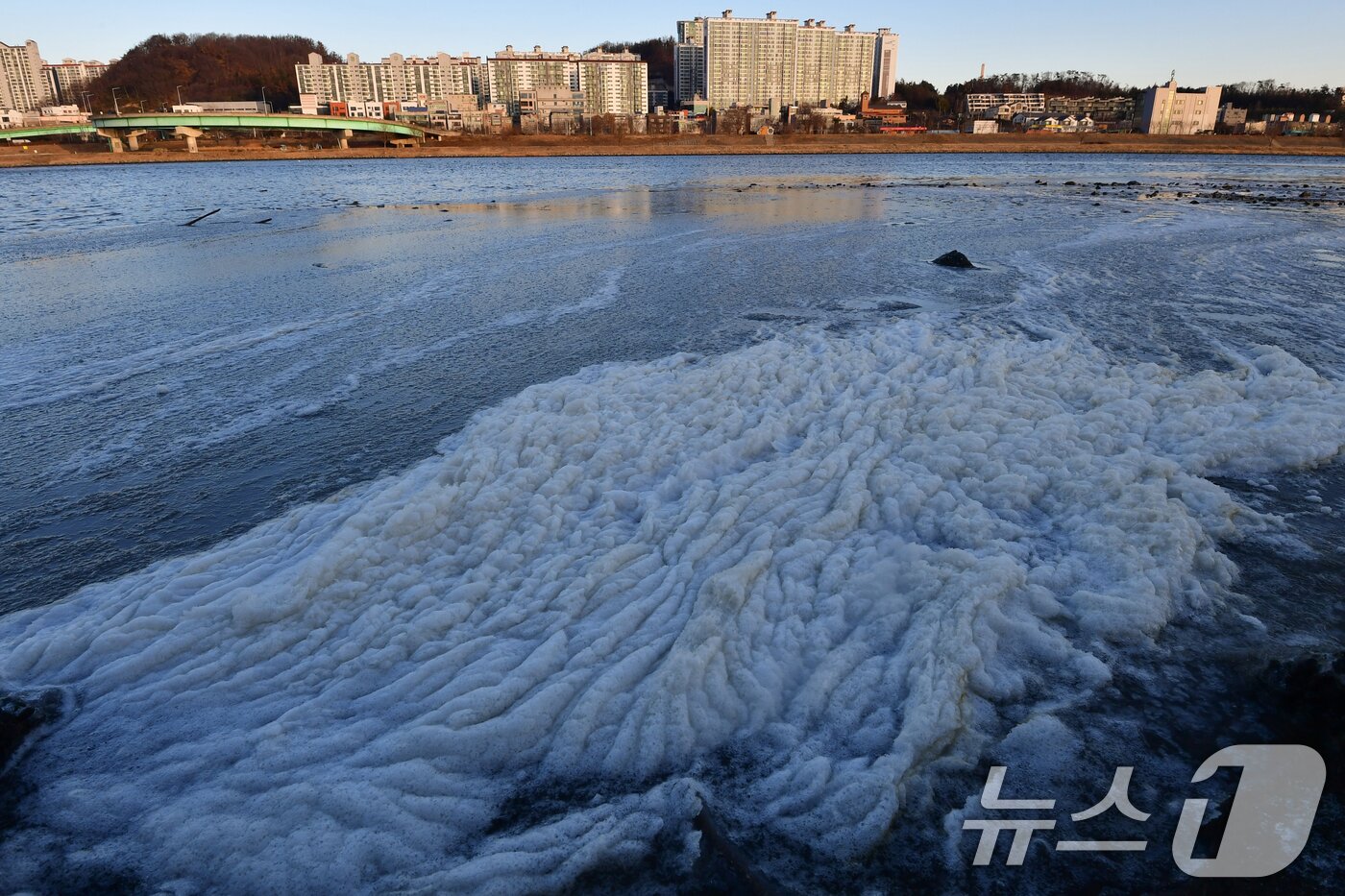본문 이미지 - 연일 동장군이 기승을 부리고 있는 가운데 28일 경북 포항시 남구 연일읍 유강리 형산강 주변이 얼어있다. 2026.1.28/뉴스1 ⓒ News1 최창호 기자
